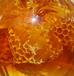 med_u_sacu-kvalitetni-med-sace O medu